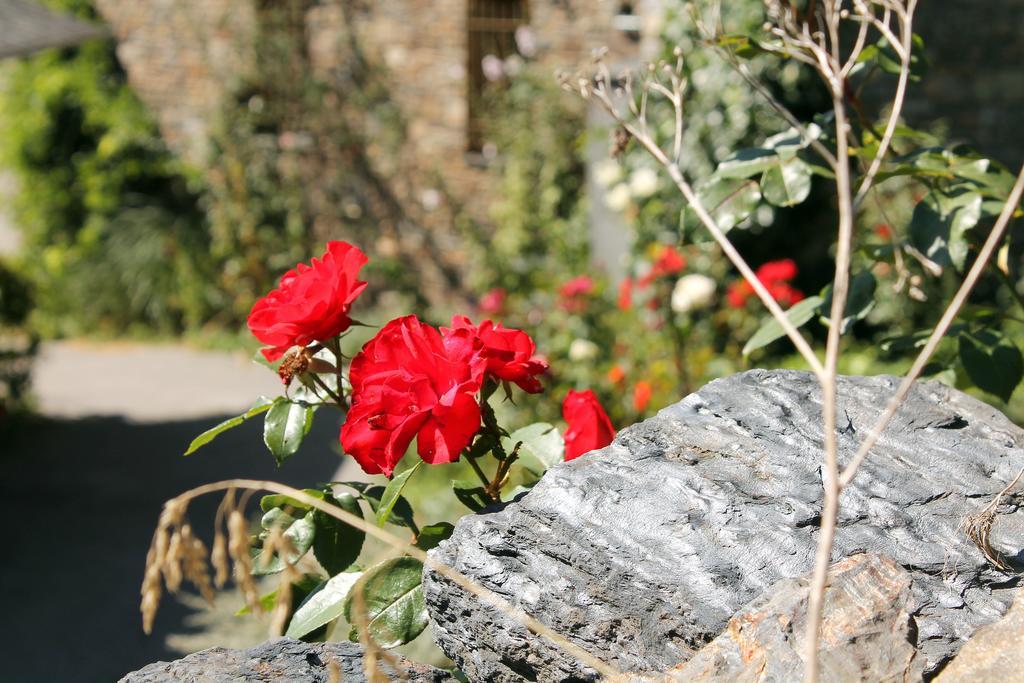 Apartment Turistics Vilaro *
